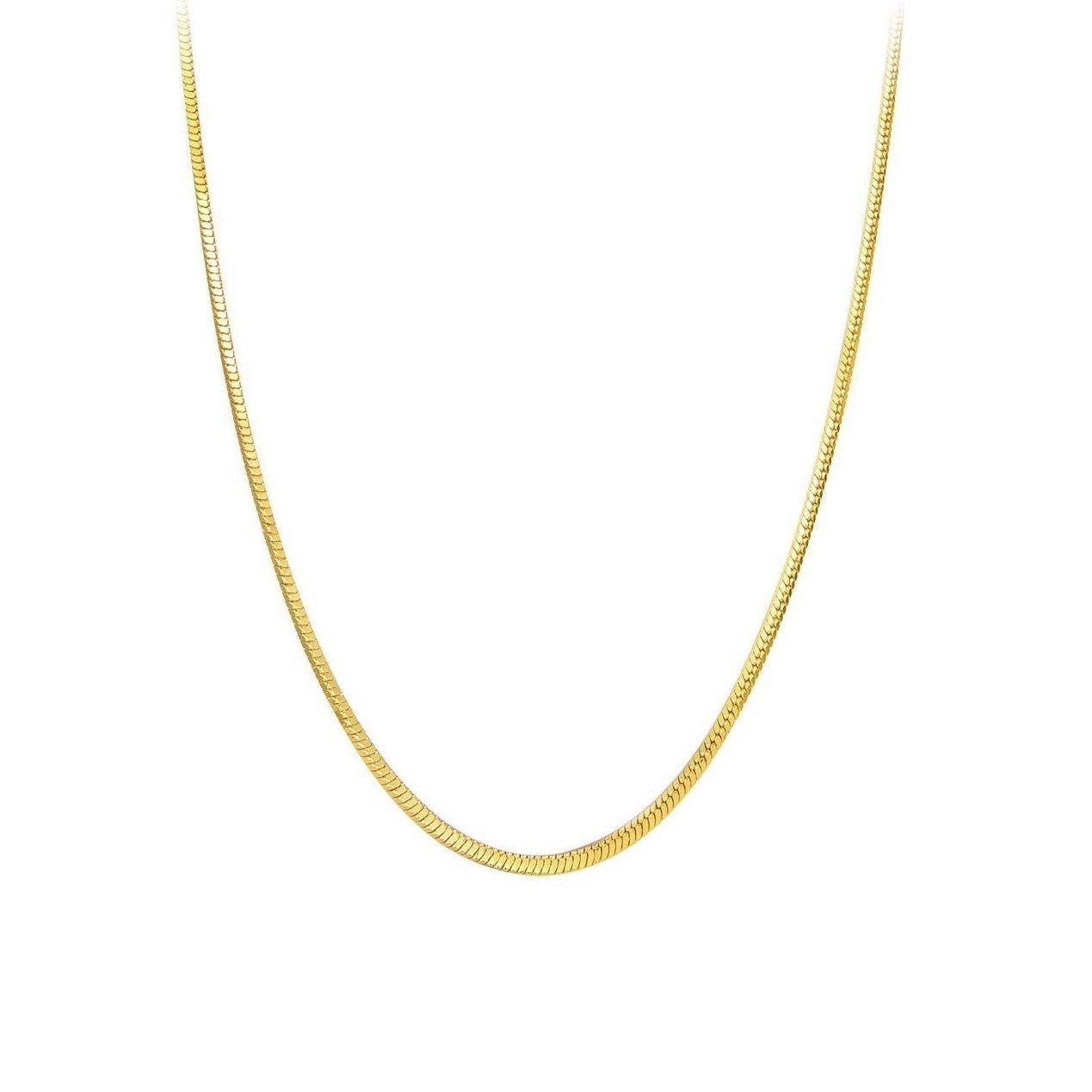 Chandler 14k Gold Snake Chain