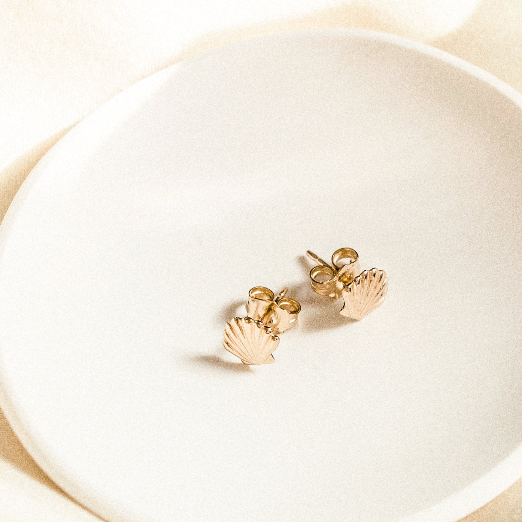 Seashell Stud Earrings